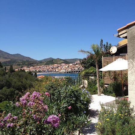 Villa Bougainvilliers Banyuls-sur-Mer Oda fotoğraf