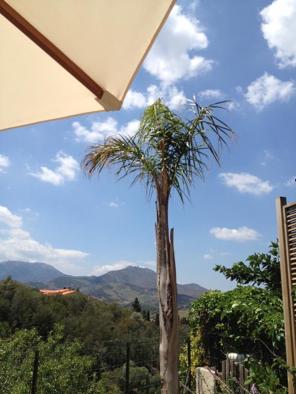 Villa Bougainvilliers Banyuls-sur-Mer Oda fotoğraf