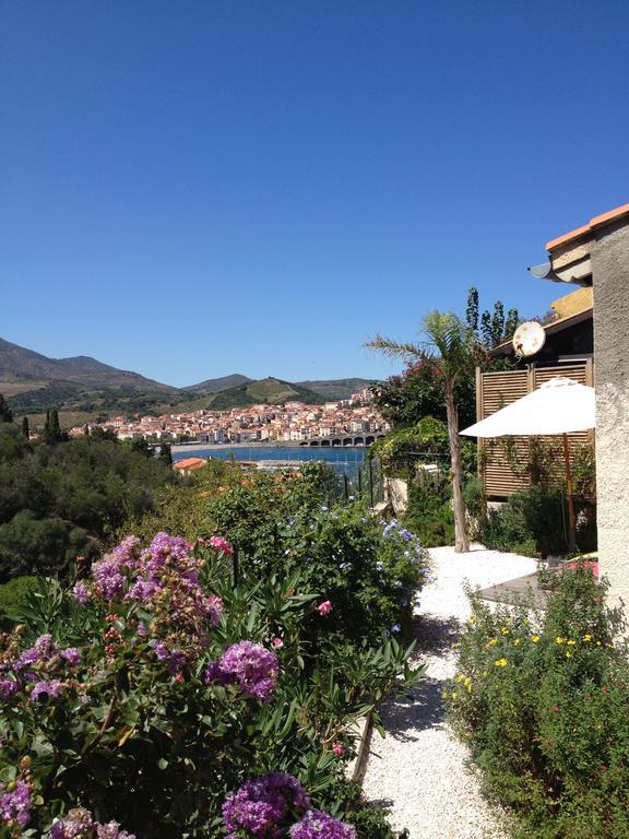 Villa Bougainvilliers Banyuls-sur-Mer Oda fotoğraf